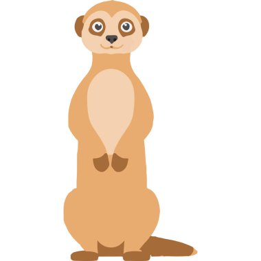 İşbirlikçi aile davranışları ve eşsiz yaşam alanıyla bilinen sosyal bir çöl memelisi..