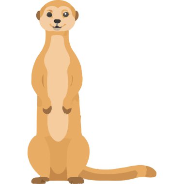 İşbirlikçi aile davranışları ve eşsiz yaşam alanıyla bilinen sosyal bir çöl memelisi..