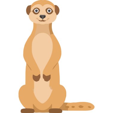 İşbirlikçi aile davranışları ve eşsiz yaşam alanıyla bilinen sosyal bir çöl memelisi..