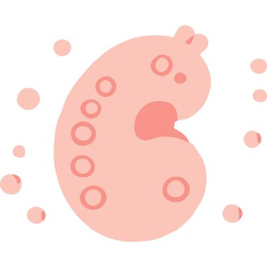 Hamilelik süresince kaybın duygusal temsili, keder ve umudun iletilmesi..