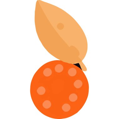 Tarım ve sürdürülebilir tarımı temsil eden yemyeşil bir tarlada altın buğday taneleri.