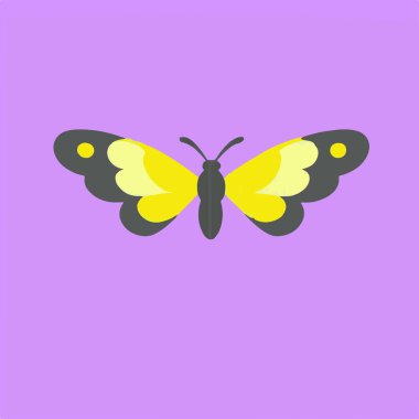 Kanatlarında karmaşık desenler olan renkli bir kelebek güzelliği ve doğayı simgeliyor..