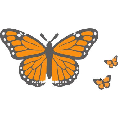 Kanatlarında karmaşık desenler olan renkli bir kelebek güzelliği ve doğayı simgeliyor..