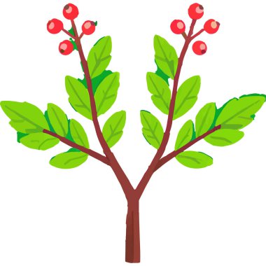 Ökseotu geleneksel bir Noel bitkisidir. Aşkı ve barışı sembolize eder. Genellikle tatil süslemelerinde kullanılır..