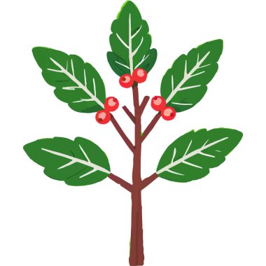 Ökseotu geleneksel bir Noel bitkisidir. Aşkı ve barışı sembolize eder. Genellikle tatil süslemelerinde kullanılır..