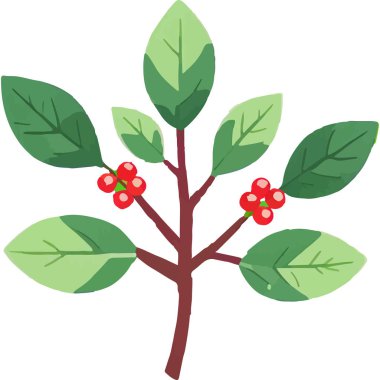 Ökseotu geleneksel bir Noel bitkisidir. Aşkı ve barışı sembolize eder. Genellikle tatil süslemelerinde kullanılır..
