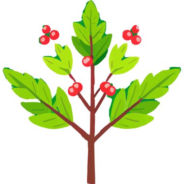 Ökseotu geleneksel bir Noel bitkisidir. Aşkı ve barışı sembolize eder. Genellikle tatil süslemelerinde kullanılır..