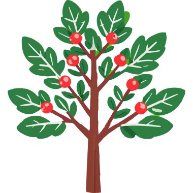 Ökseotu geleneksel bir Noel bitkisidir. Aşkı ve barışı sembolize eder. Genellikle tatil süslemelerinde kullanılır..