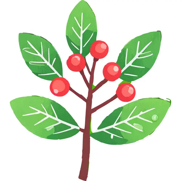 Ökseotu geleneksel bir Noel bitkisidir. Aşkı ve barışı sembolize eder. Genellikle tatil süslemelerinde kullanılır..