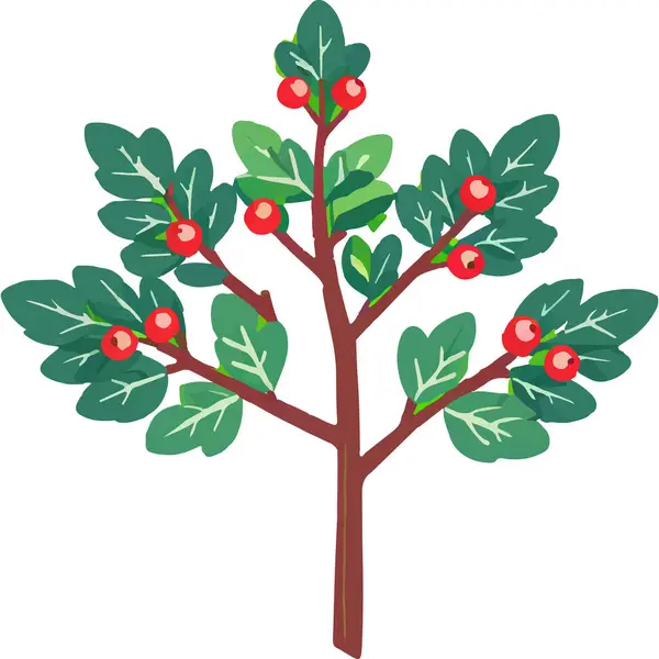Ökseotu geleneksel bir Noel bitkisidir. Aşkı ve barışı sembolize eder. Genellikle tatil süslemelerinde kullanılır..