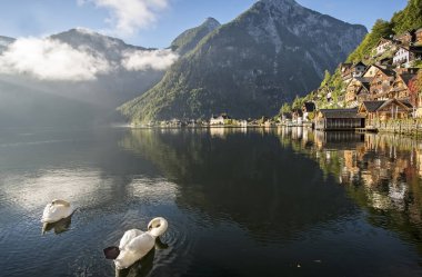Hallstatter, Avustralya köyü, dağlarda göl. Statter Halstatt köyü Hallstatt bölgesinde ünlü bir turizm merkezidir.