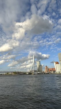 Hollanda 'da Erasmus Köprüsü olan Rotterdam şehri güzel mavi ve bulutlu gökyüzü