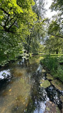 Güneşli bir günde yemyeşil ağaçların arasında yosunlu bir göl. Doğa parkında çekilmiş bu fotoğraf doğanın güzelliğini vurguluyor.