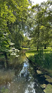 Güneşli bir günde yemyeşil ağaçların arasında yosunlu bir göl. Doğa parkında çekilmiş bu fotoğraf doğanın güzelliğini vurguluyor.