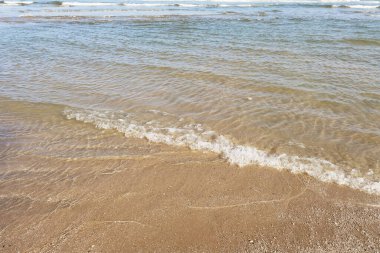 Deniz dalgası kumsalda