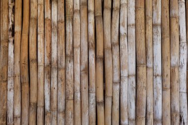 arkaplan için bambu dokusunu kapat                              