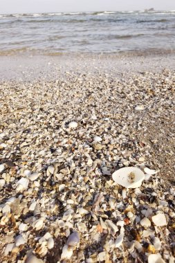 Deniz dalgası kumsalda