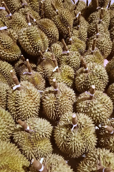 Vista Superior Fruta Duriana Chão — Fotografia de Stock
