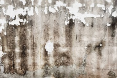 Arka plan için beton çatlamış duvar dokusu                                                                            