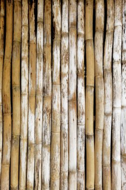 arkaplan için bambu dokusunu kapat                              