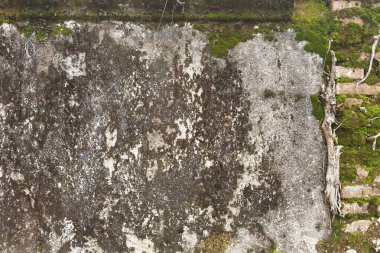 Arka plan için beton çatlamış duvar dokusu            