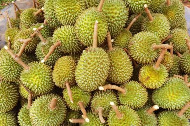 Zemindeki durian meyvesinin en üst görüntüsü 