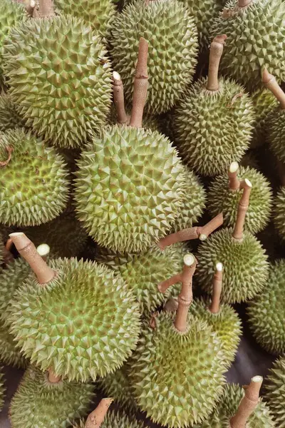Zemindeki durian meyvesinin en üst görüntüsü 