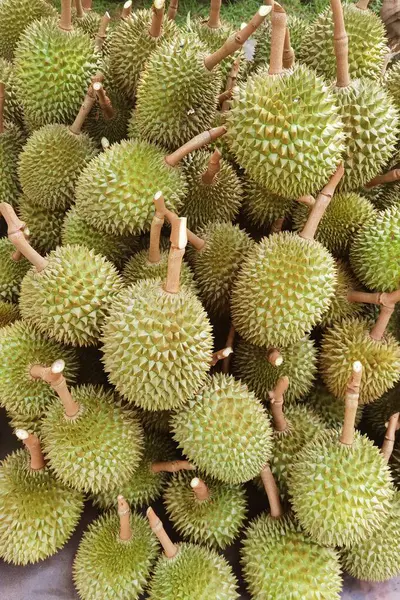 Zemindeki durian meyvesinin en üst görüntüsü 