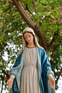 Zarafet Anıtı Meryem Ana 'nın yakın çekimi. Tayland' da, bahçede doğal bir geçmişi var. seçici odak.