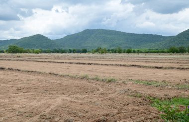 Tayland 'da ağaçlarla ve doğal mavi gökyüzü arka planına sahip dağlarla dolu engin boş arazinin manzarası.