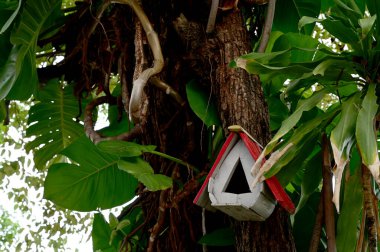 Tayland 'da doğal bir geçmişi olan, parktaki büyük bir ağaçtan sarkan kırmızı beyaz bir kuş evine yakın çekim..