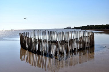 Mavi gökyüzünde uçan martılar Bangpu Eğlence Merkezi, Samutprakan, Tayland 'da denizin üzerinde uçuyor.