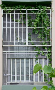 Tayland 'daki binanın dışındaki demir çitlerin yanında sıra sıra dikilmiş ağaçlar var..