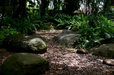 Ağacın altına bak. Küçük yapraklar ve dallar. Mavi gökyüzü arkaplanı üzerinde gölgeli bir ağacın altına yayılmış..