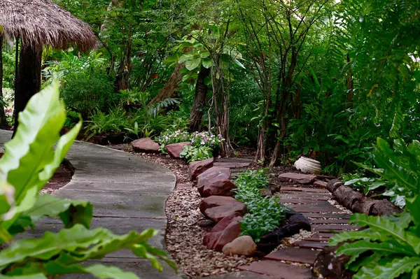 # Yeşil ağaçlarla kaplı gölgeli bir bahçenin güzel rengi # # Sabah ağaçların arasından güneş ışığı doğuyor # # Tayland 'da doğal arka planla #.