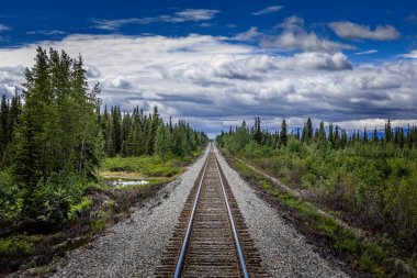 Alaska 'nın vahşi doğasında dümdüz demiryolu rayları 