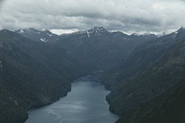 Alaska 'da ağaçlar ve bir nehirle vahşi doğa manzarası