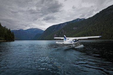 Alaska fiyortlarında iskelede bir yüzen uçak.