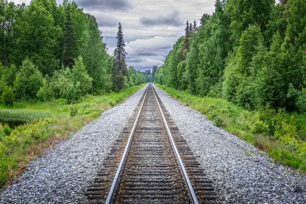 Railroad Railtrack Denali National Park Alaska Impressive Mountains — Stock Photo, Image