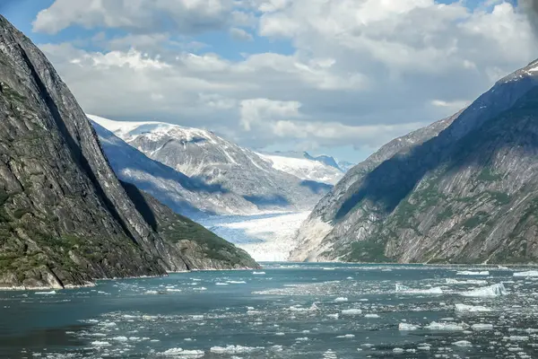 Ледник Эндикотт Время Круиза Аляску Стоковое Изображение