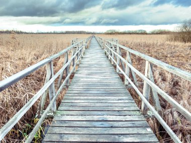 Federsee çevresindeki sahil yürüyüşü, Bad Buchau 