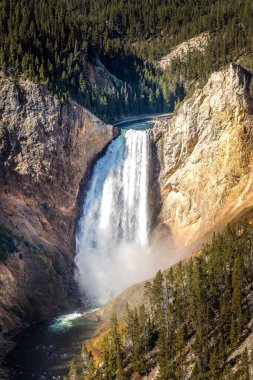 Yellowstone Büyük Kanyonu 'nda Şelale, Yellowstone Ulusal Parkı