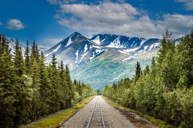 Railroad to Denali National Park, Alaska with impressive mountains	 clipart