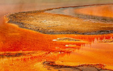 Yellowstone Ulusal Parkı, Wyoming 'deki Büyük Prismatik Bahar' a yakın çekim.