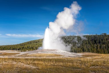 Yellowstone Ulusal Parkı 'ndaki meşhur gayzer Old Faithful.