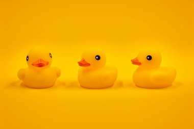 Sarı lastik ördekler ve bir sıra halinde