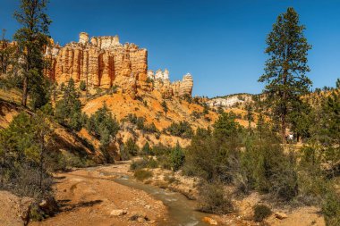 Bryce Kanyonu Ulusal Parkı 'na yakın küçük bir nehir.