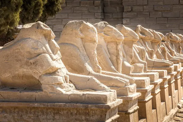 stock image Avenue of the rams in front of the Karnak temple, Luxor Egypt