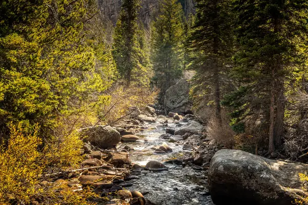 Rocky Dağları 'ndaki Creek Ulusal Parkı, Colorado