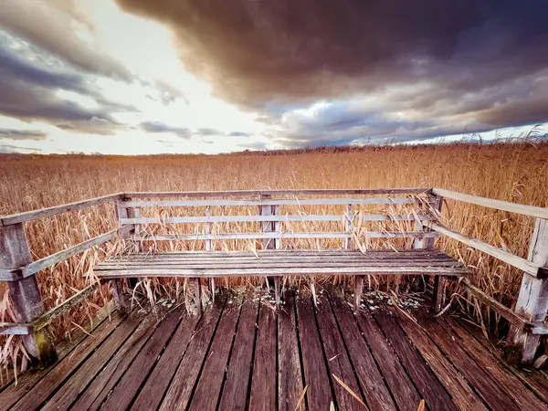 stock image Boardwalk around the Federsee, Bad Buchau